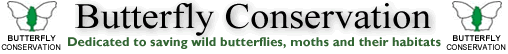 Butterfly_Conservation